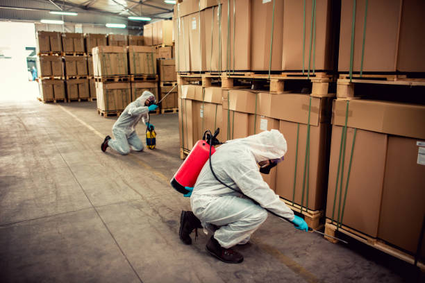 Best Affordable Pest Control Services  in Central Falls, RI