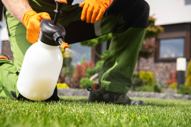 Reliable Central Falls, RI Pest Control Solutions