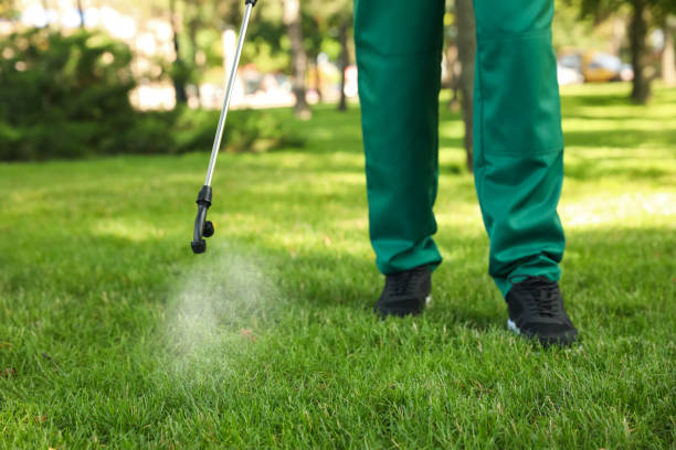 Best Mosquito Control Services  in Central Falls, RI