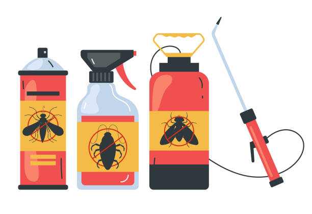 Best Termite Control Services  in Central Falls, RI
