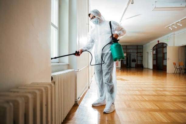 Best Mosquito Control Services  in Central Falls, RI
