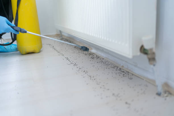 Central Falls, RI Pest Control Company
