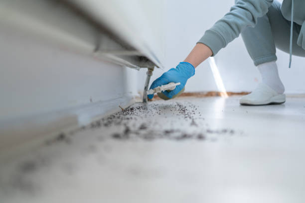 Best Pest Prevention Services  in Central Falls, RI